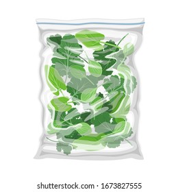 Frozen Greenery Stored in Plastic Package Vector Illustration