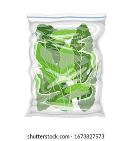 Frozen Greenery Stored in Plastic Package Vector Illustration