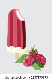 Frozen ice cream, vanilla and popsicles icon vector illustration with raspberry flavor. Pink, green, white colors. Sweet and cold dessert.