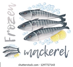 Frozen mackerel fish illustration. Cartoon vector fresh seafood icon isolated on white background