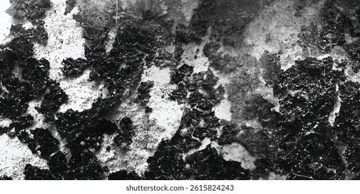 A Frozen Moment in the Evolution of Surface and Stone

