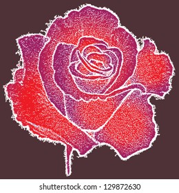 frozen red rose