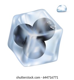 Frozen tasty blueberries in ice cube that slowly melts and shiny water drop isolated realistic vector illustration on white background.