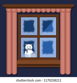 The frozen White-gray cat sits outside the window in the winter. The cat wants to go home and is very sad. Vector illustration.