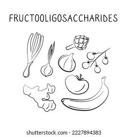 Fructooligosaccharides-containing food. Groups of healthy products containing vitamins and minerals. Set of fruits, vegetables, meats, fish and dairy.