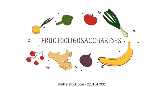 Fructooligosaccharides-containing food. Groups of healthy products containing vitamins and minerals. Set of fruits, vegetables, meats, fish and dairy.