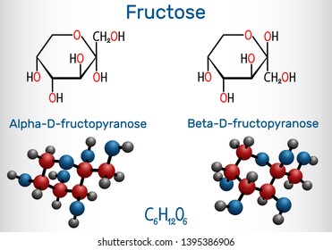 Fructose, alpha-D-fructopyranose, beta-D-fructopyranose molecule. Cyclic form. Structural chemical formula and molecule model. Vector illustration