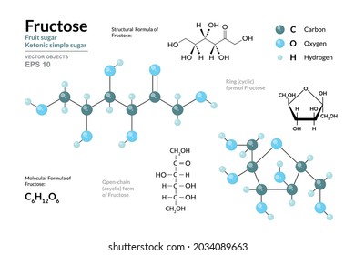 Fructose. Fruit Sugar. Ketonic Simple Sugar. Monosaccharide. Cyclic and Open Chain Form of Fructose. C6H12O6. Structural Chemical Formula and Molecule 3d Model. Vector Illustration 