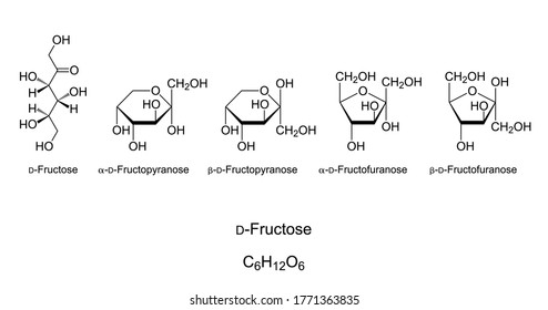 Fructose, Fruit Sugar, Monosaccharide, Chemical Structure. Simple Sugar. Natta Projection Of Open-chain D-Fructose. Haworth Projection Of Four Cyclic Isomers With Pyranose And Furanose Rings. Vector.