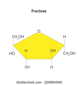 Fructose, or fruit sugar. Vector illustration.