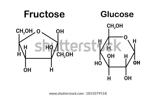 fructose and\
glucose structures on white\
background