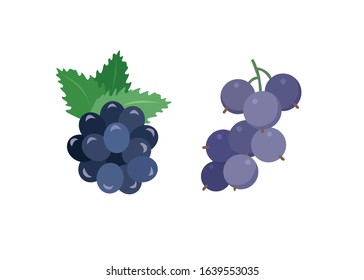 Frui Vector Illustration - Vector isolated icons illustration