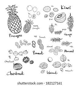 fruit