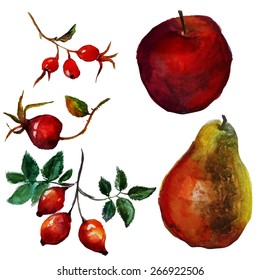 fruit