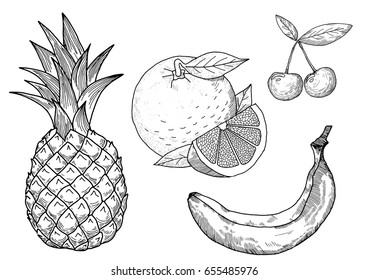 fruit