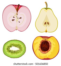 Fruit Anatomy : Apple, Pear, Kiwi, Peach