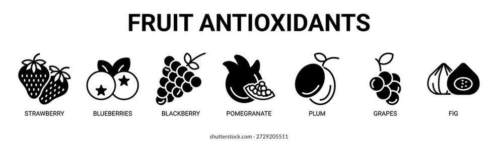 Fruit Antioxidants web banner icon vector illustration concept with icon of strawberry, blueberries, blackberry, pomegranate, plum, grapes, and fig.
