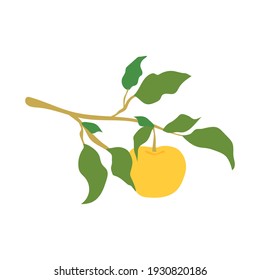 Fruit apple branch, illustration isolated on white background. Kitchen design decoration, food packaging, flat food illustration, vector fruit tree. Hand drawn apple hanging on branch with leaves.