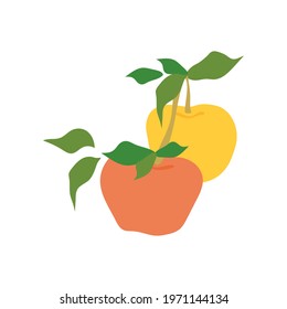 Fruit apple branch. Stock vector illustration isolated on white background. Two apples hanging on branch with leaves. Food decoration, flat food illustration, fruit tree, apple branch. Healthy eating.