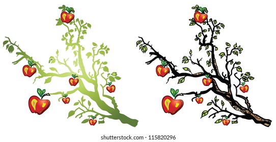 Fruit apple tree with apples