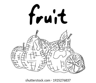 fruit apples pears and lemon still life. doodle sketch illustration