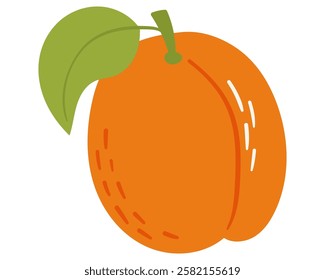 Fruit apricot in cartoon hand drawn simple style. Editable variable color