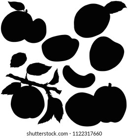 Fruit apricot, vector, silhouette