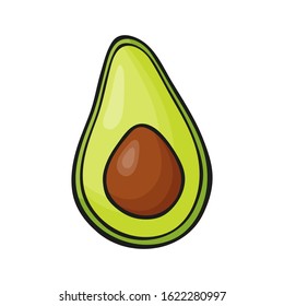 Fruit avocado. Hand drawn ector illustration. Isolated on white background.