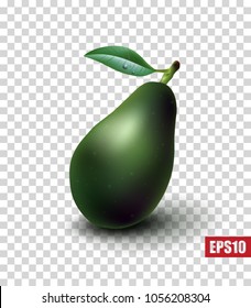 Fruit avocado isolated on a transparent background, healthy food, diet, beauty. 3D design. Vector illustration. EPS10