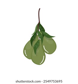 Frutos de abacate com folhas