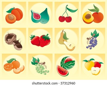 Fruit with background- vector illustration