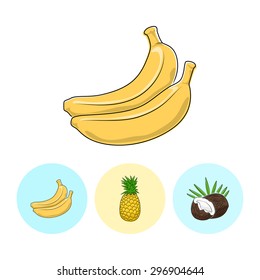 Fruit  Banana  on White Background , Set of Three Round Colorful Icons Banana, Pineapple and Coconut , Vector Illustration