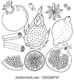 Fruit basic set, black and white. Vector illustration. Pomegranate, lmon, dragon fruit, orange, cardamom, cinnamon. Outline, hand drawn art.