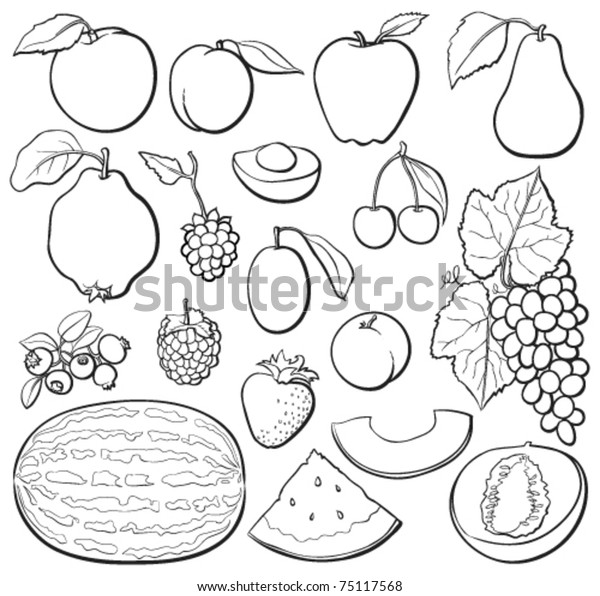 Fruit Basic Set Black White Each Stock Vector (Royalty Free) 75117568