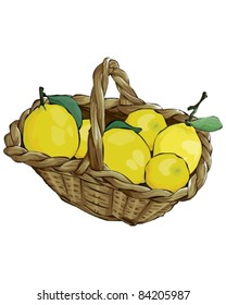 Fruit basket