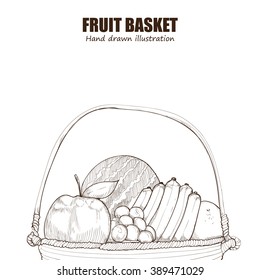 fruit basket. drawing vector. fruit background