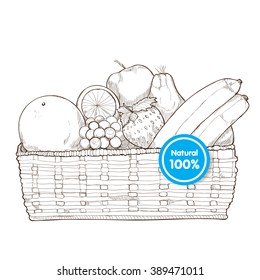 Fruit Basket. Farm fresh. drawing vector. fruit background