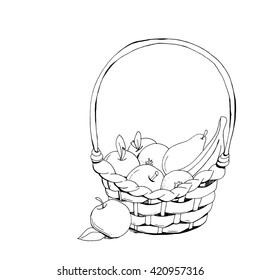 fruit basket isolated on a white background.  Vector illustration