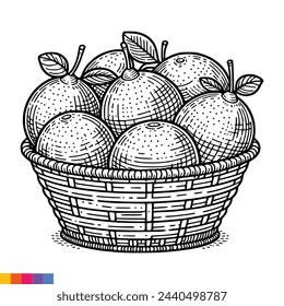 Fruit Basket line art illustration for the coloring book. Fruits coloring page. Vector graphics