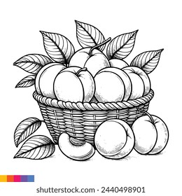 Fruit Basket line art illustration for the coloring book. Fruits coloring page. Vector graphics