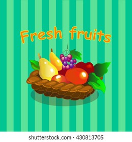 fruit basket vector