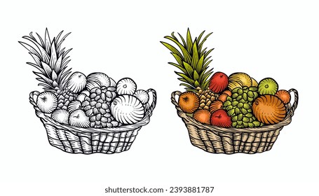 Fruit basket vintage vector illustration. Hand drawn engraved style illustration. Monochrome graphic art with engraved design elements.