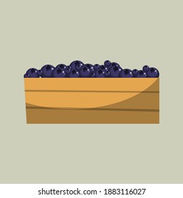 Fruit baskets, containing various fruit variants sold in the market. Fresh and delicious