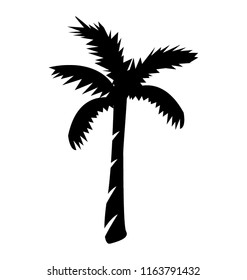 
Fruit bearing coconut tree
