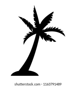 
Fruit bearing coconut tree
