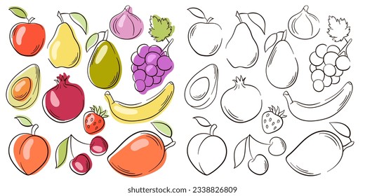 Fruit and berries collection in line art style. Illustration of colored and monochrome fruits for design farm product, menu, restaurants, vegetarian shop. Vector illustration isolated on a white