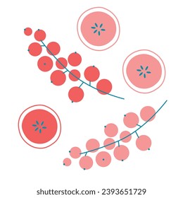 Juego de vectores de iconos dibujados con frutas y bayas. Ilustración de frutos coloreados para el diseño de productos de granja, etiqueta de mercado tienda vegetariana.