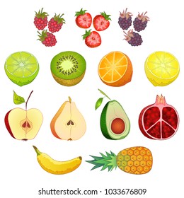 Fruit and berries on white background in vector  