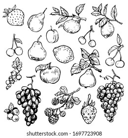 Früchte und Beeren mit Blättern und Zweig: Apfel, Birne, Kirsche, Traube, Zitronen, Zitrusfrüchte, Erdbeeren, handgezeichnete Skizze-Doodle-Sammlung, Vintage-Design für die Farbbuchseite