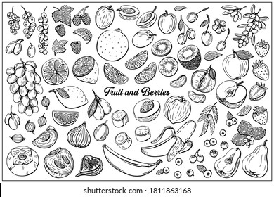 Fruit and berry assorted set. Are hand-draw vintage engraving illustration for poster, label and menu. Illustration in graphic sketch doodle style.